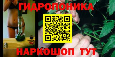 Альфа ПВП Будённовск