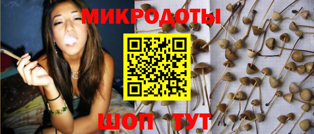 Галлюциногенные грибы GOLDEN TEACHER  Вход с VPN  Псилоцибиновые грибы GOLDEN TEACHER  Армавир 