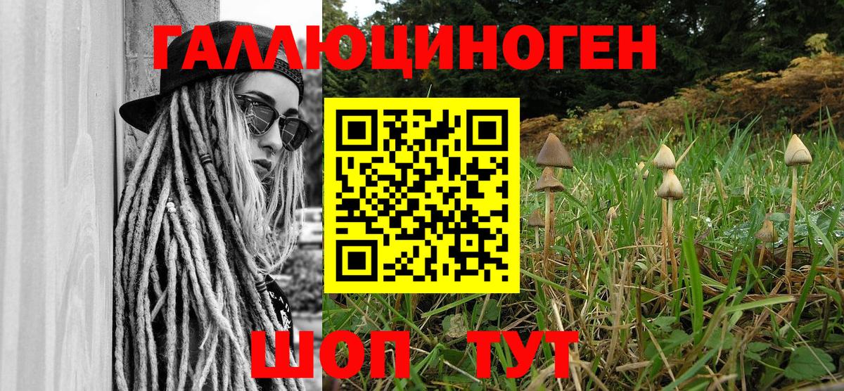 Псилоцибиновые грибы MAGIC MUSHROOMS Армавир
